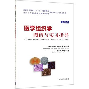 中英对照普通高等教育十三五规划教材 郭晓霞 全国高等医药院校规编者 周德山 徐健 王大亮 医学组织学图谱与实习指导