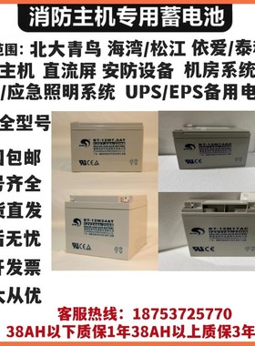 赛特海湾利达BT12M24AT泰和安天成消防主机松江12V7/17/38a蓄电池