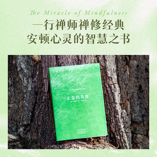 安顿心灵 果麦出品 一行禅师禅修经典 书签 樊登 赠手账 奇迹 小开本易携带 缓解焦虑 现货正版 费勇推荐 正念