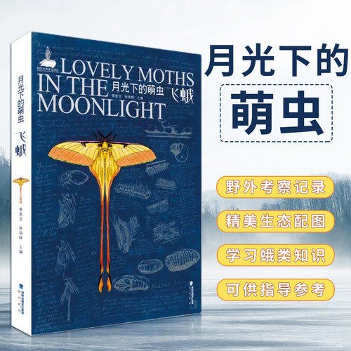 正版现货 月光下的萌虫-飞蛾 徐堉峰 中国大百科全书野外手册昆虫图鉴科普儿童课外读物 蛾类图鉴采集标本科普黄嘉龙 海峡书局