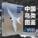 [Подлинное место] Китайская Bird Picture Book (Gull Edition) собирает все виды птиц китайского семейства диких чайков и семейства Skua. Персонал подсемейной подсемейной птиц Ассоциации подсемейства. Под редакцией Чжана Лин и Чэнь Сюэюн. Книжный магазин пролива
