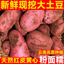 云南红皮黄心土豆新鲜现挖小土豆农家蔬菜洋芋自种马铃薯批发红皮