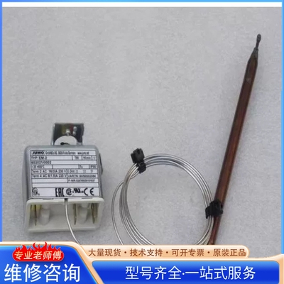 {议价} JUMO温度探头EM-2 602021 0002