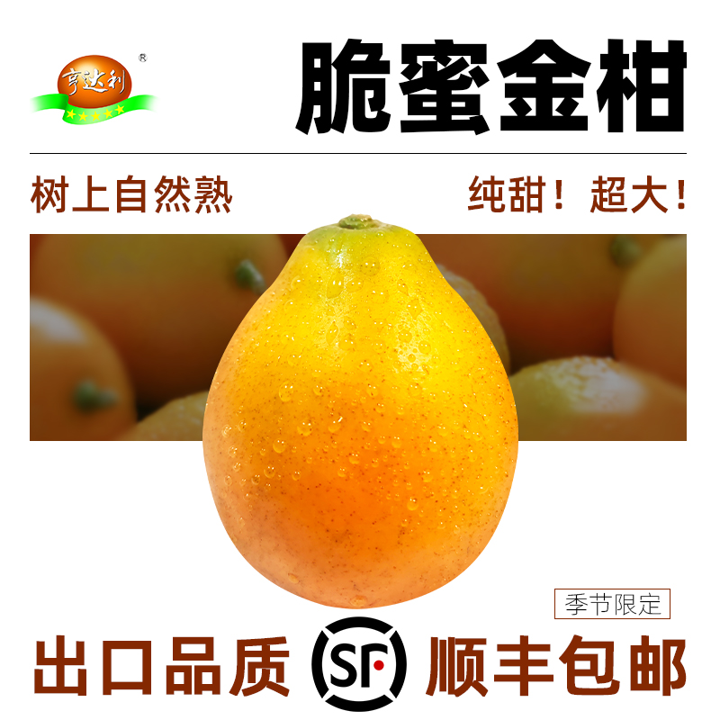 出口品质脆蜜金柑金桔纯甜橘子