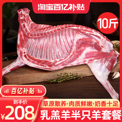 羊肉新鲜半只羊10斤乳羔羊生羊肉