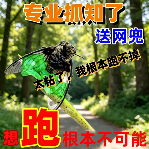 小绿手捕抓知了神器超粘粘蝉工具