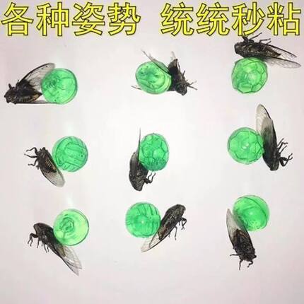 粘知了胶夏季粘捕蝉工具户外玩具爬叉节流粘粘球抓知了神器小绿手