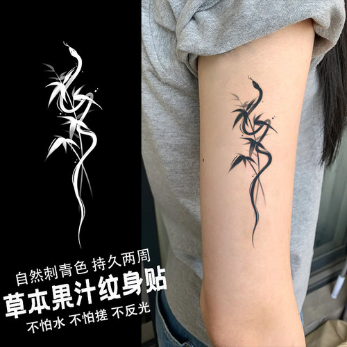 竹墨缠蛇 草本纹身贴纸女男tattoo防水持久遮疤锁骨手臂腿部高级