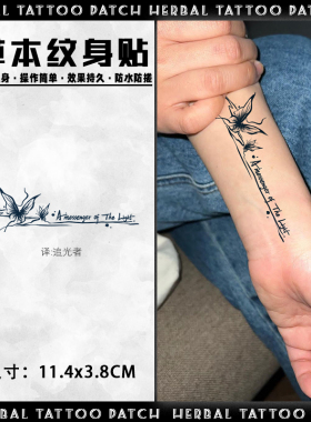 英文追光者 草本果汁纹身贴小清新防水持久法语纹身贴手臂锁骨