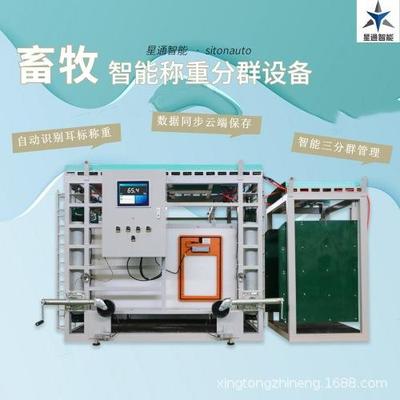 养殖场牛羊管理系统智能称重分群设备耳标识别智慧畜牧养殖管理