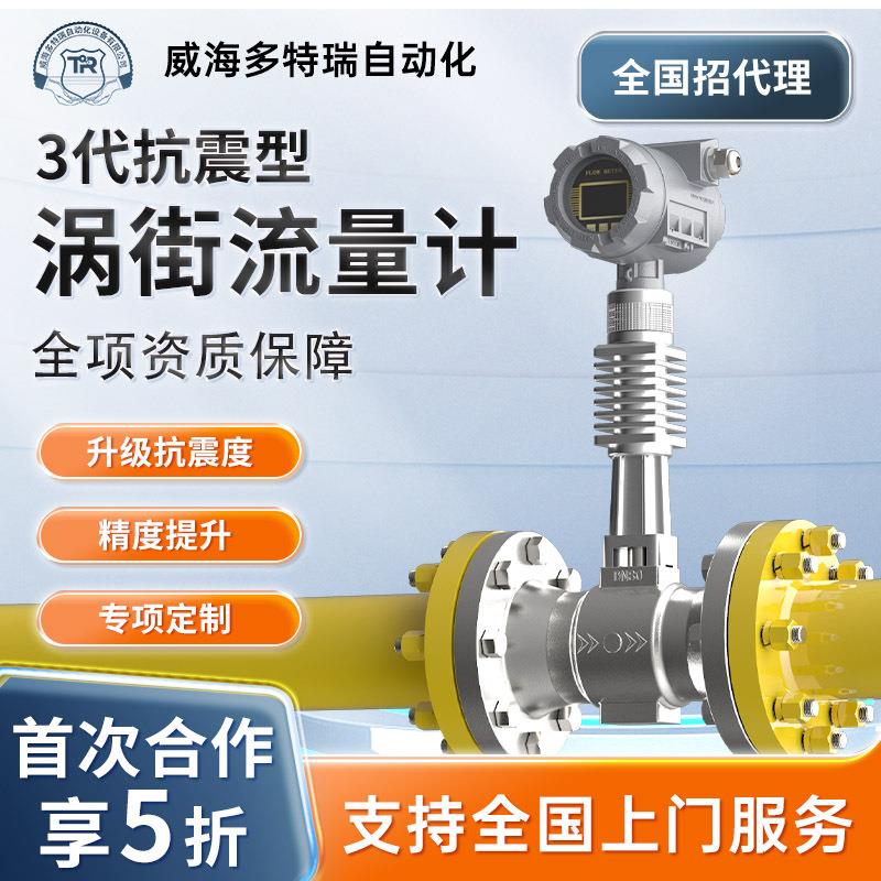 厂家生产抗震涡街流量计一体化温压补偿蒸汽计量表dn50数显