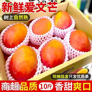 新鲜爱文芒10斤芒果当季水果攀枝花芒果现摘凯特芒彩虹芒整箱包邮