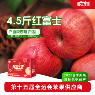 青怡陕西洛川苹果25年当季 新果优品红富士时令新鲜水果整箱送礼盒