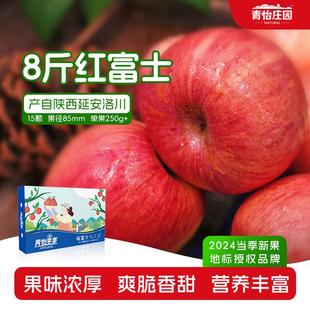 青怡陕西洛川苹果25年当季 新果红富士时令新鲜水果送礼盒佳品
