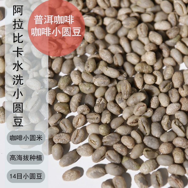 咖啡小圆豆 水洗咖啡生豆云南咖啡商业咖啡豆阿拉比三级咖啡米