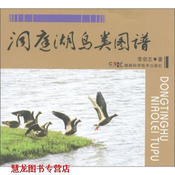 【正版书籍】 洞庭湖鸟类图谱 李剑志 著 湖南科学技术出版社