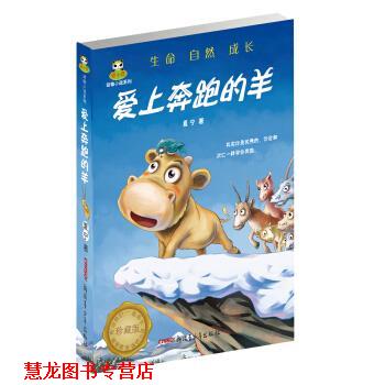 【正版书籍】 倔小孩动物小说系列:爱上奔跑的羊 夏宁
