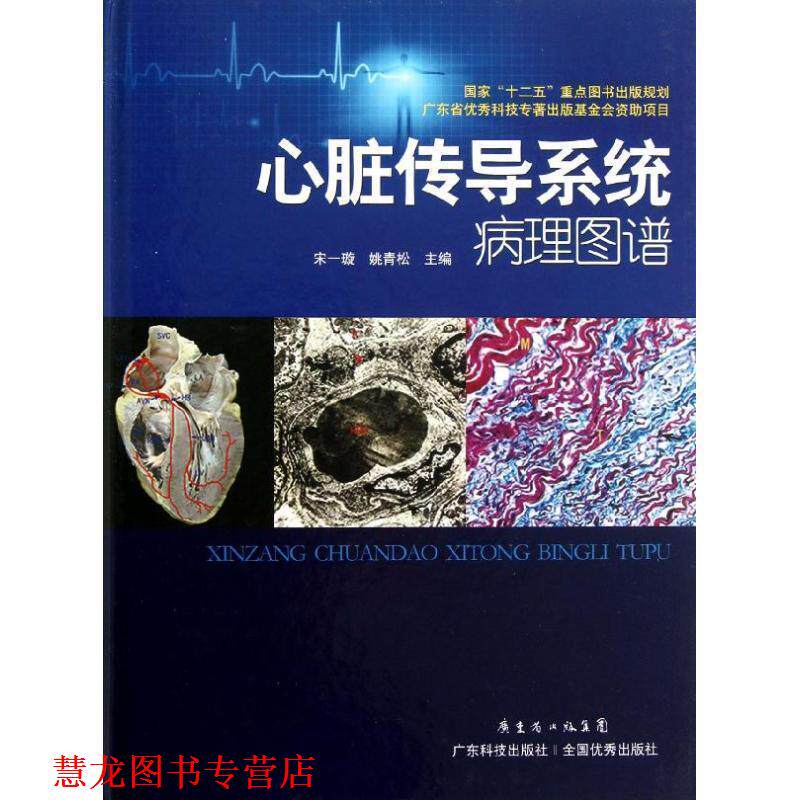 【正版书籍】 心脏传导系统病理图谱 宋一璇,姚青松 广东科技出版社