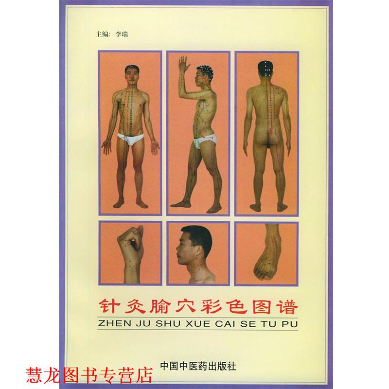 【正版书籍】 针灸腧穴彩色图谱 李瑞 主编 中国中医药出版社