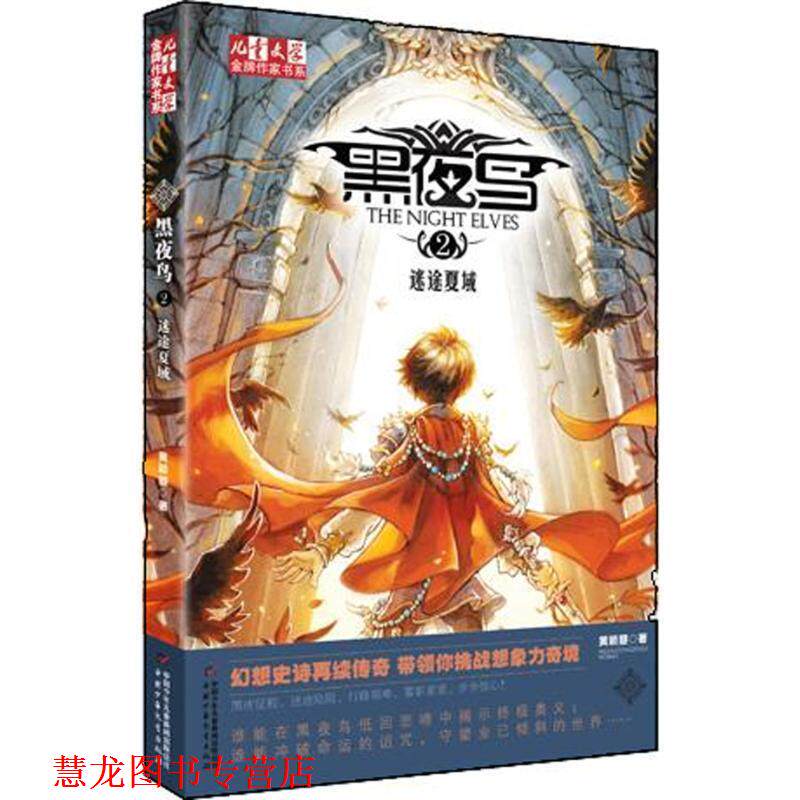 【正版书籍】 《儿童文学》作家书系--黑夜鸟2之迷途夏域 黄颖曌