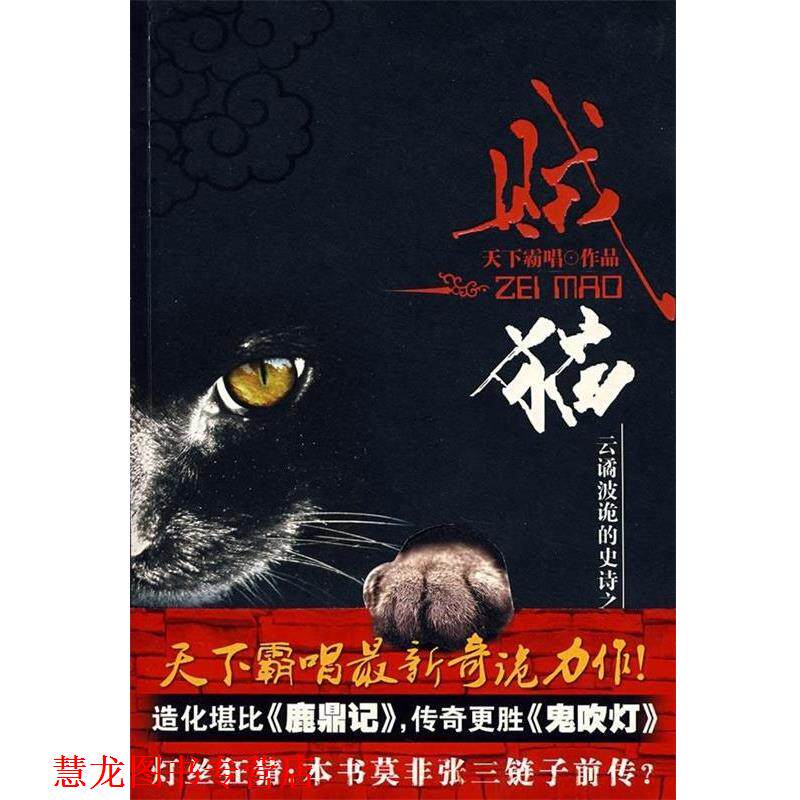 【正版书籍】 贼猫 天下霸唱 著 安徽文艺出版社
