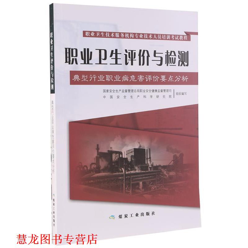 【正版书籍】 职业卫生技术服务机构专业技术人员培训考试教程·职业卫生评价与检测:典型行业职业病危害评价要点分析 国家安全生