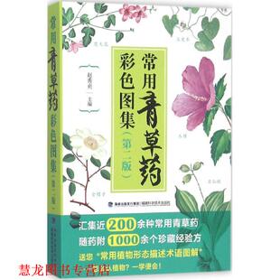 正版 福建科技出版 书籍 赵秀贞 社 常用青草药彩色图集