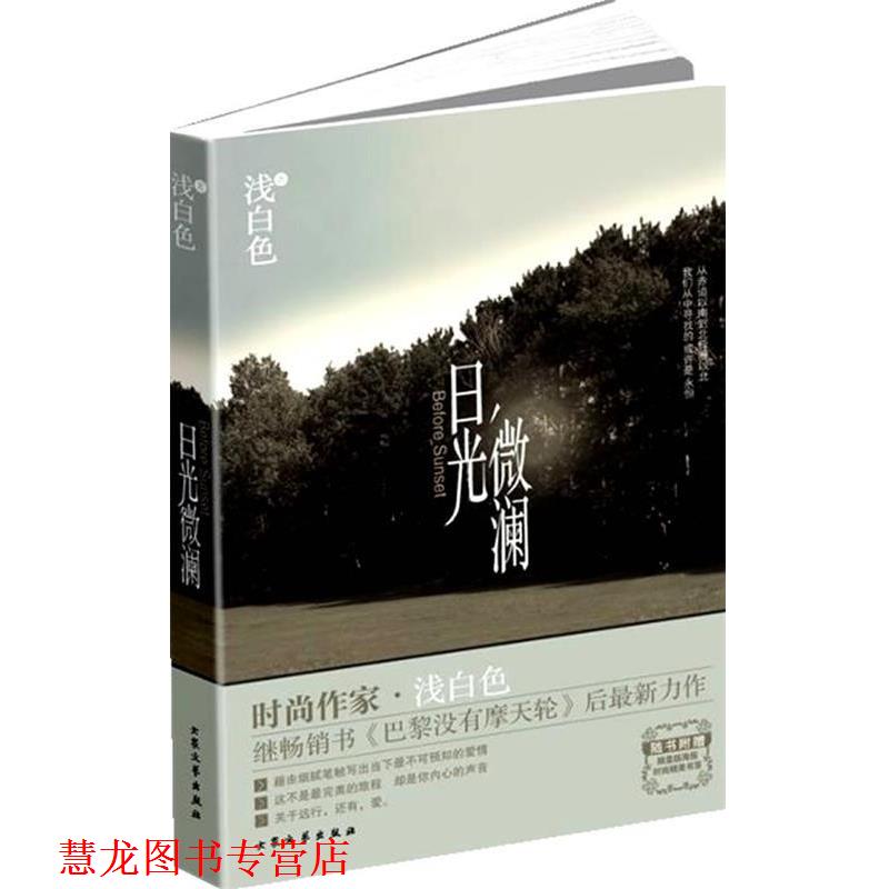 【正版书籍】 日光微澜 浅白色 著 大众文艺出版社