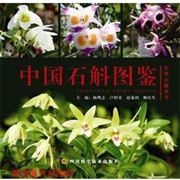 【正版书籍】 中国石斛图鉴 杨明志 四川科技出版社