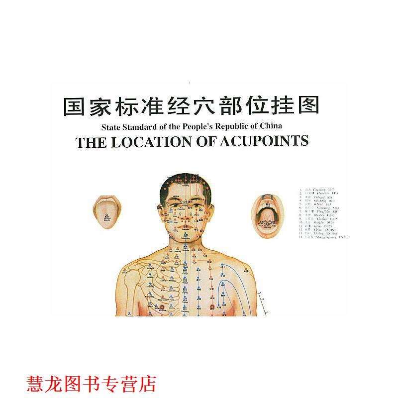 【正版书籍】 国家标准经穴部位挂图 中国中医研究院针灸研究所 中国中医药出版社