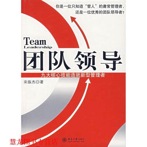 【正版书籍】 团队领导:九大核心技能造就新型管理者 宋振杰 著 北京大学出版社