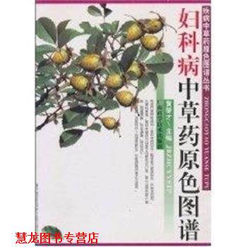 【正版书籍】 妇科病中草药原色图谱 疾病中草药原色图谱丛书 黄燮才 广西科学技术出版社