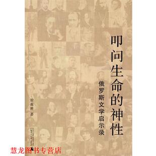 俄罗斯文学启示录 叩问生命 神性 著 书籍 徐葆耕 广西 正版