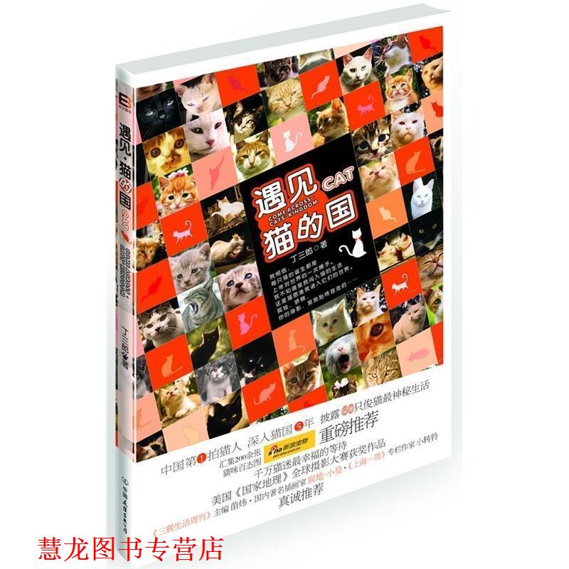 【正版书籍】 遇见·猫的国 丁三郎 著 中国友谊出版公司