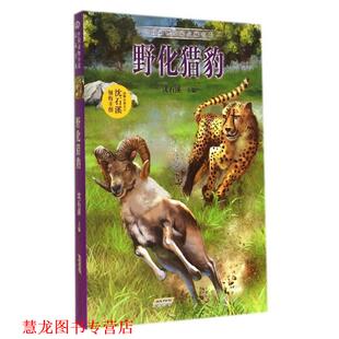 中国动物小说品藏书系：野化猎豹 书籍 沈石溪 编 社 安徽少年儿童出版 正版