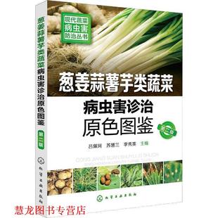 葱姜蒜薯芋类蔬菜病虫害诊治原色图鉴 吕佩珂 苏慧兰 化学工业出版 书籍 李秀英 社 正版