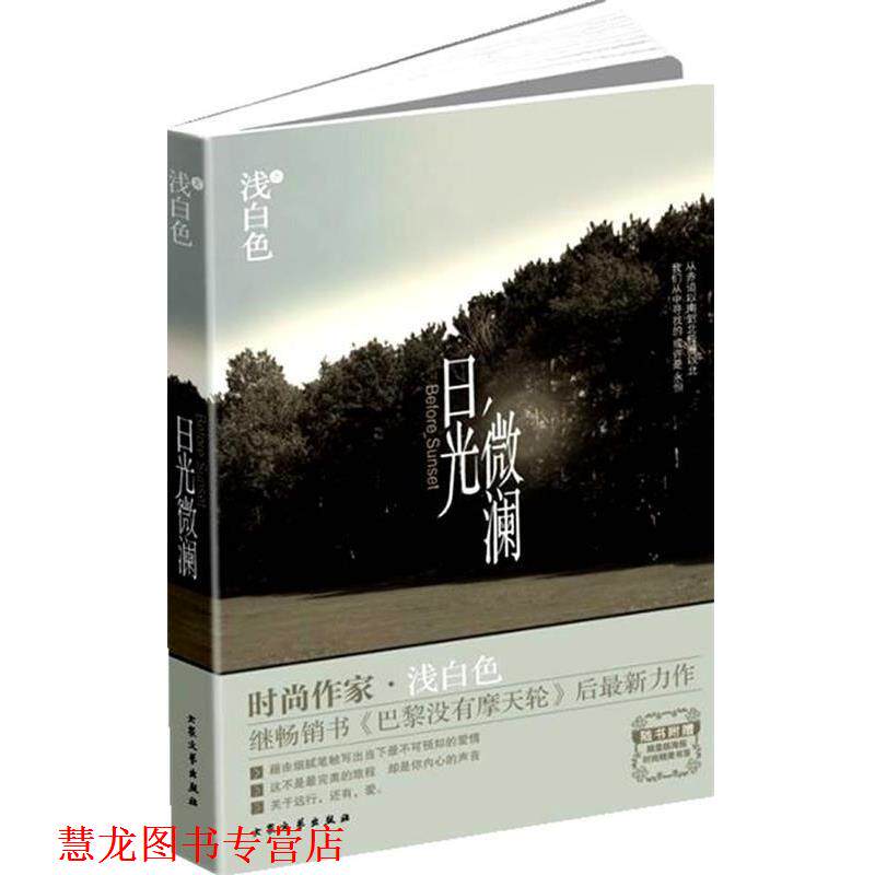 【正版书籍】 日光微澜 浅白色 著 大众文艺出版社