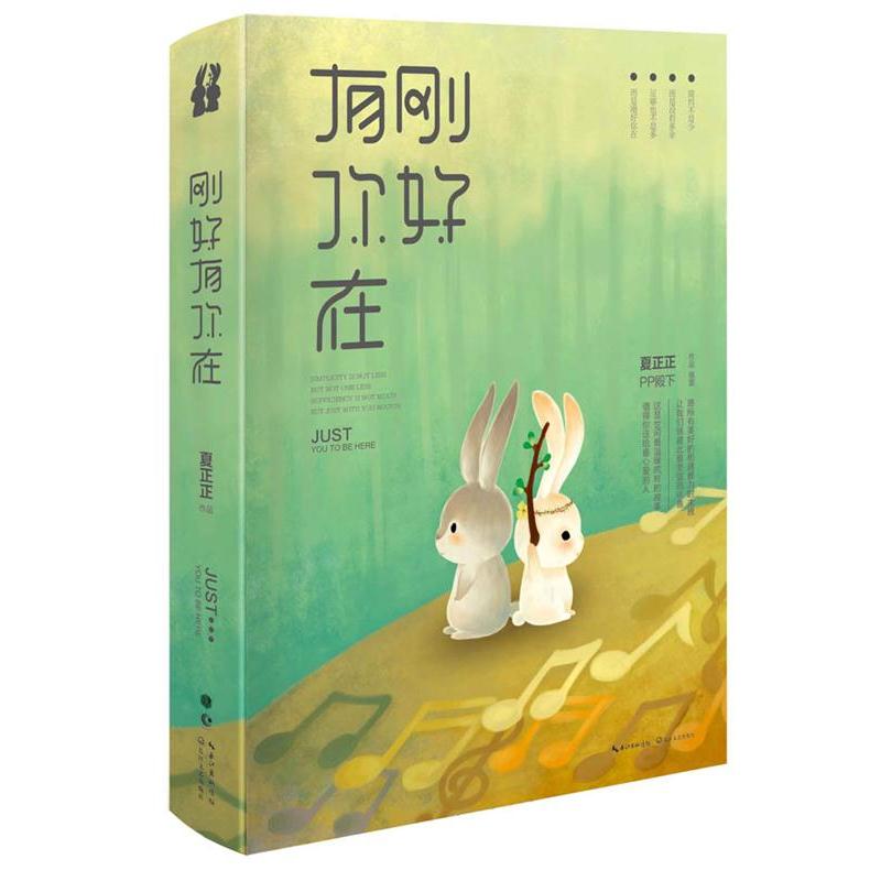 【正版书籍】 刚好有你在 夏正正 著 长江文艺出版社