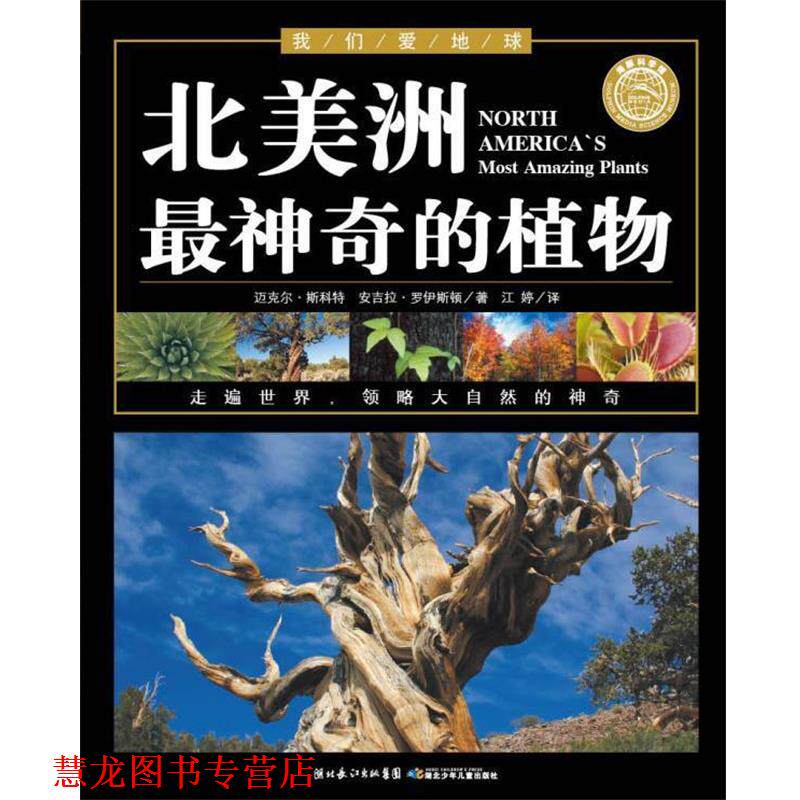 【正版书籍】 北美洲神奇的植物 我们爱地球 湖北美术出版社
