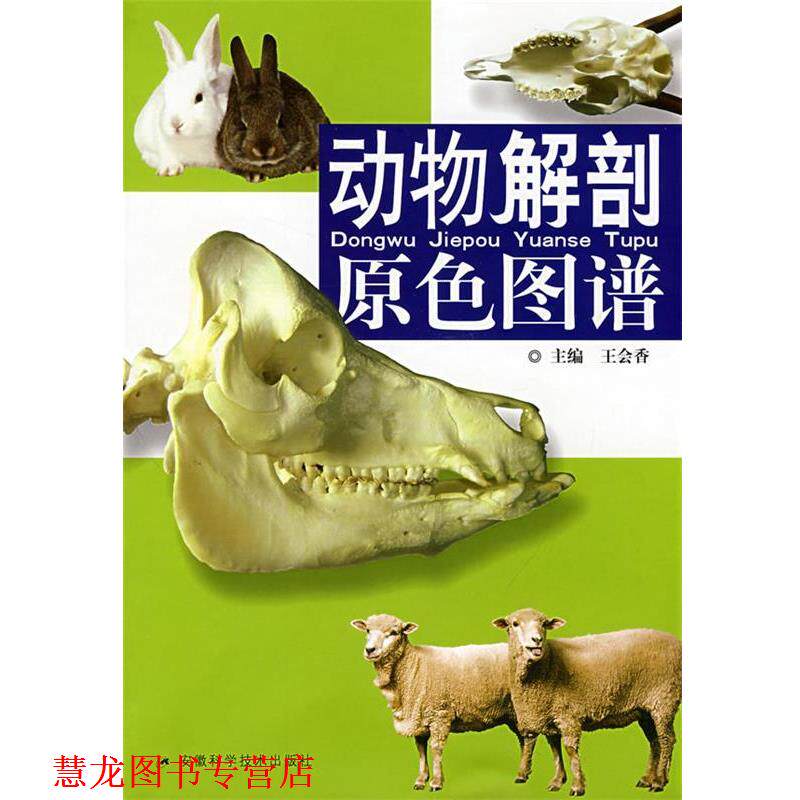 【正版书籍】 动物解剖原色图谱 王会香 主编 安徽科学技术出版社