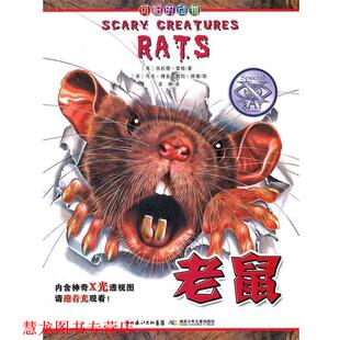【正版书籍】 老鼠-可怕的动物 (英)杰拉德.雷格 湖北少儿出版社