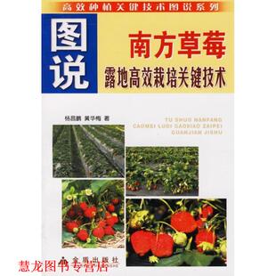圖說南方草莓露地高效栽培關鍵技術 社 書籍 著 金盾出版 黃華梅 正版 楊昌鵬