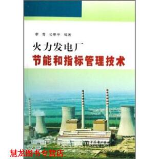 【正版书籍】 火力发电厂节能和指标管理技术 李青,公维平 著 中国电力出版社