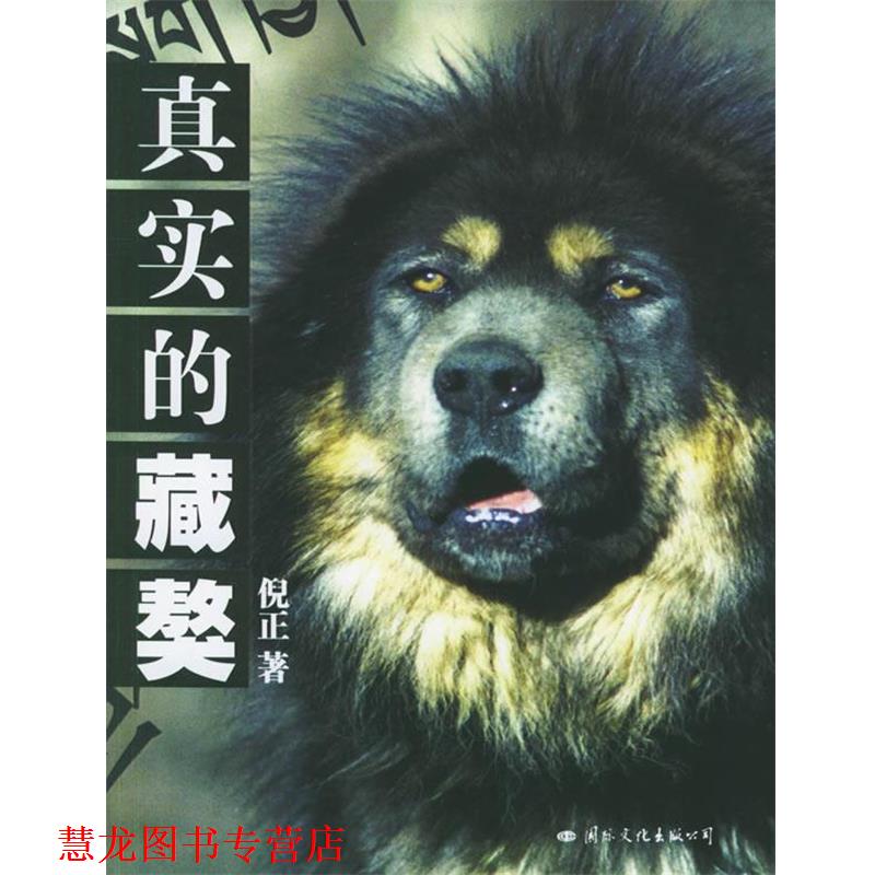 【正版书籍】 真实的藏獒 倪正 著 国际文化出版公司