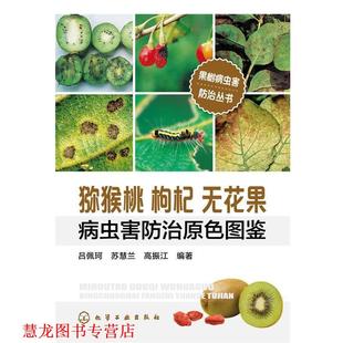 果树病虫害防治丛书 猕猴桃枸杞无花果病虫害防治原色图鉴 吕佩珂 化学工业出版 书籍 等编著 社 正版