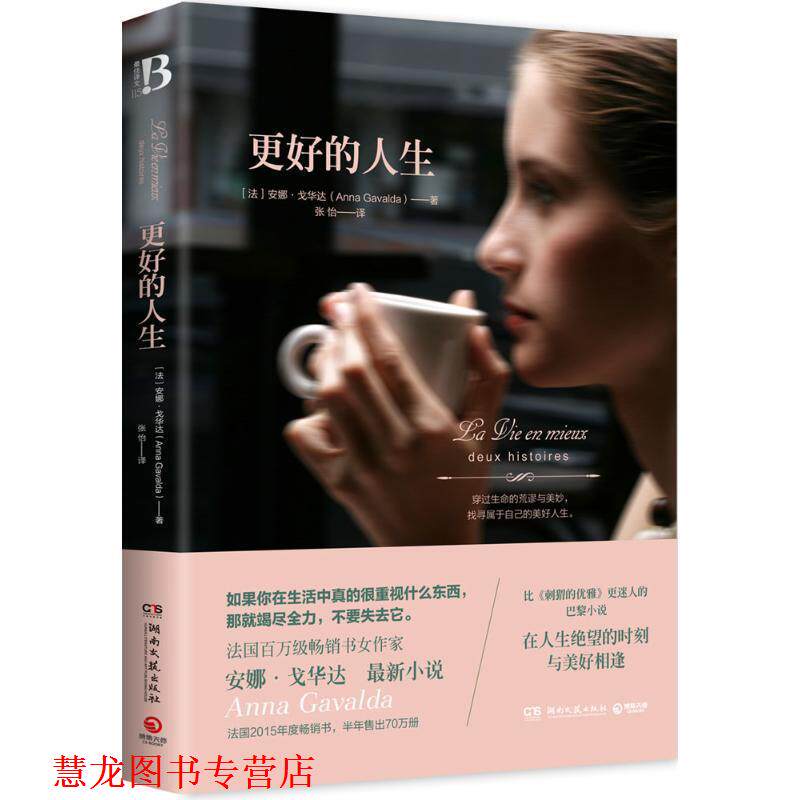 【正版书籍】 更好的人生 安娜·戈华达 著 湖南文艺出版社