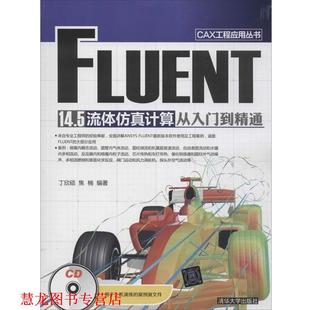 【正版书籍】 FLUENT14.5流体仿真计算从入门到精通 丁欣硕,焦楠 著 清华大学出版社
