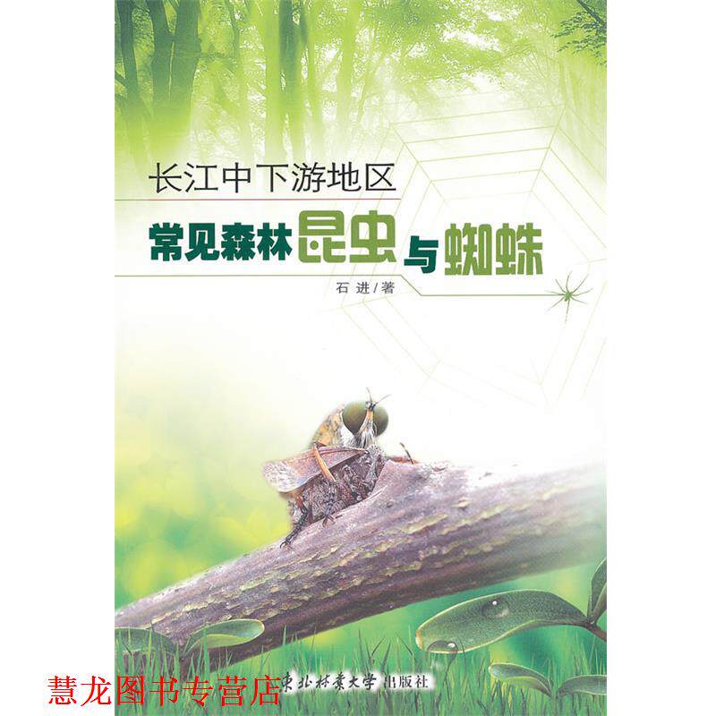 【正版书籍】 长江中下游地工常见森林昆虫与蜘蛛 石进 著 东北林业大学出版社