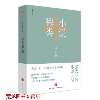 【正版书籍】 小说稗类 张大春 著 天地出版社