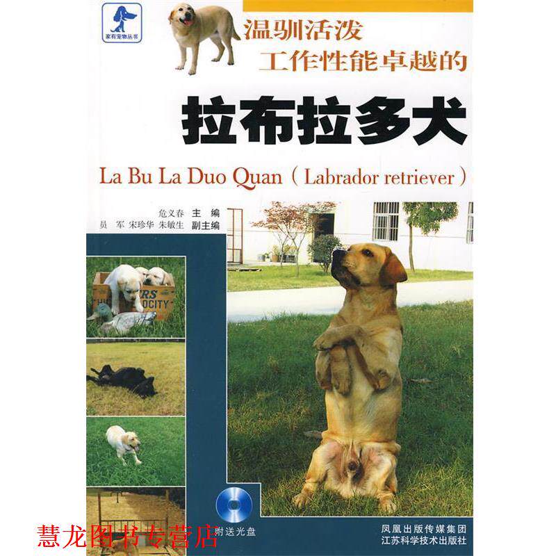 【正版书籍】 温驯活泼工作性能的拉布拉多犬 危义春 主编 江苏科学技术出版社